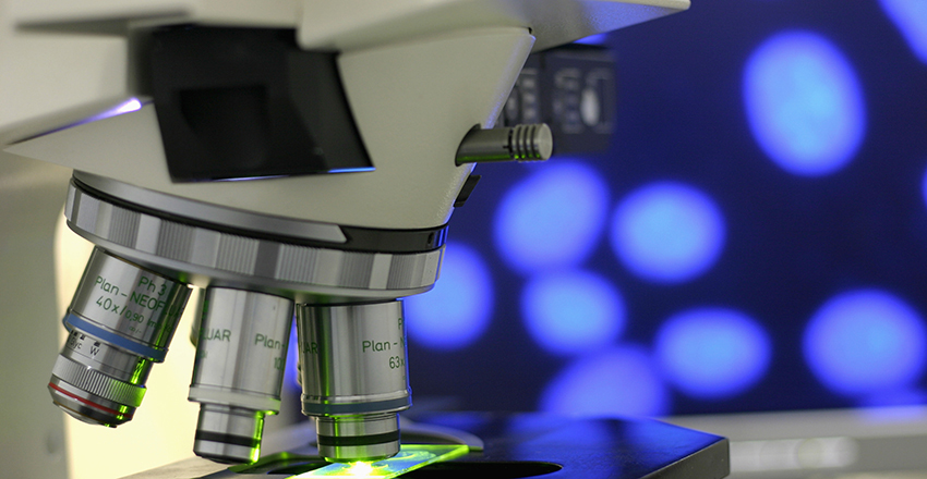 Lab